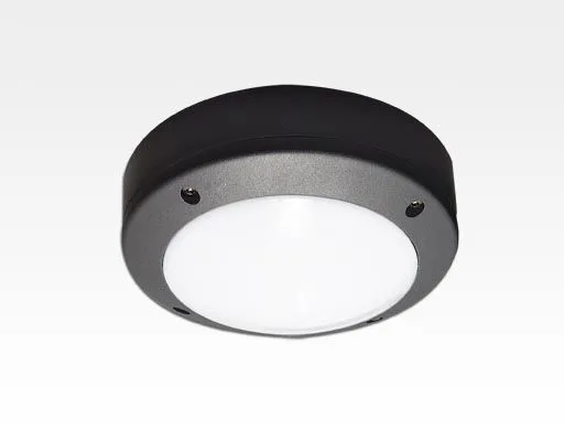 3W LED Wand/Deckenleuchte anthrazit rund Tageslicht Weiß / 6000-6500K 135lm 230VAC IP54 120Grad