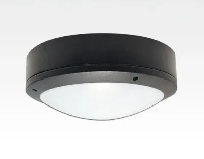 20W LED Wand/Deckenleuchte anthrazit rund Tageslicht Weiß / 6000-6500K 900lm 230VAC IP65 120Grad